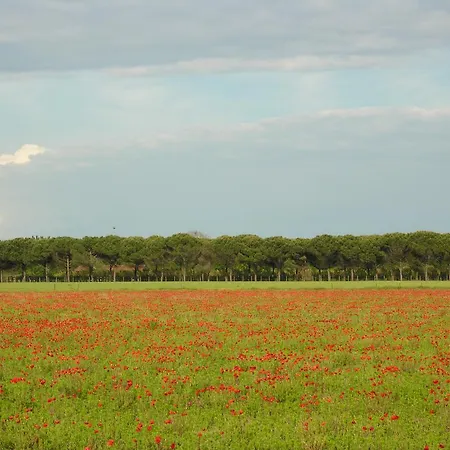 Villaggio San Siro Μπιμπιόνε