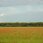 Villaggio San Siro Бібіоне