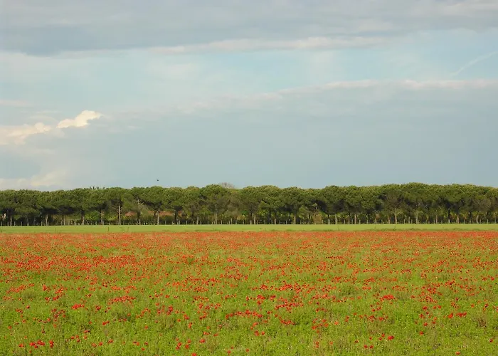 Villaggio San Siro Bibione